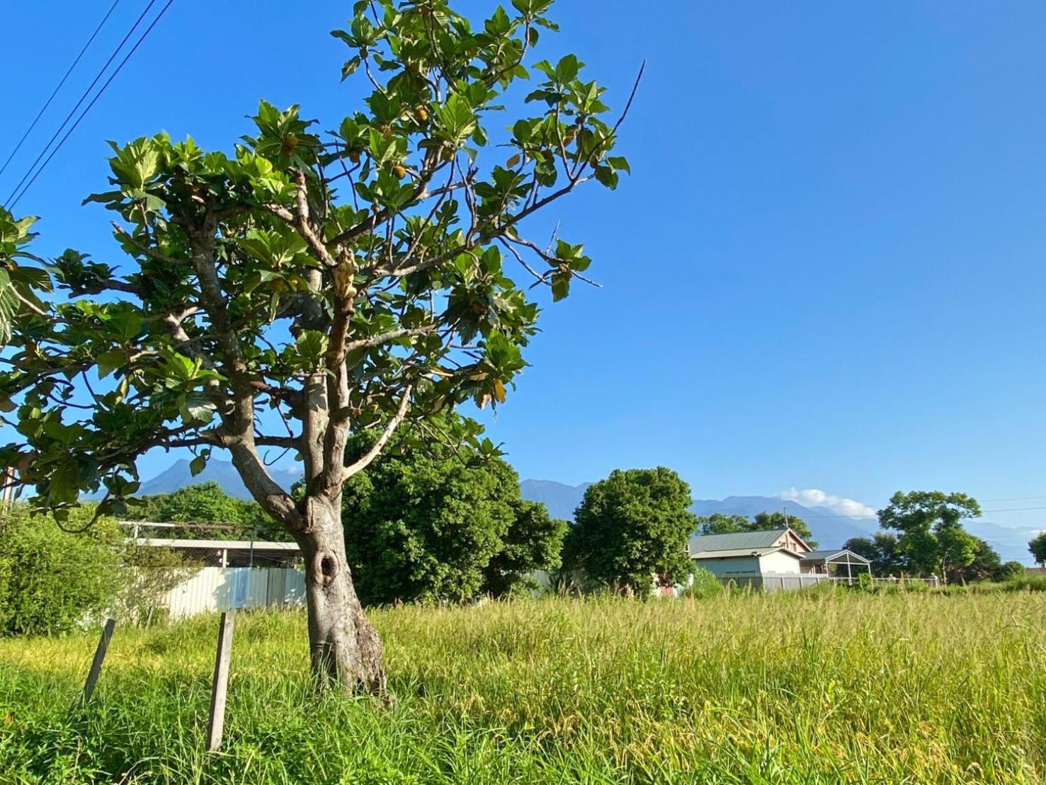 Najima B&B Ji'an Exteriér fotografie